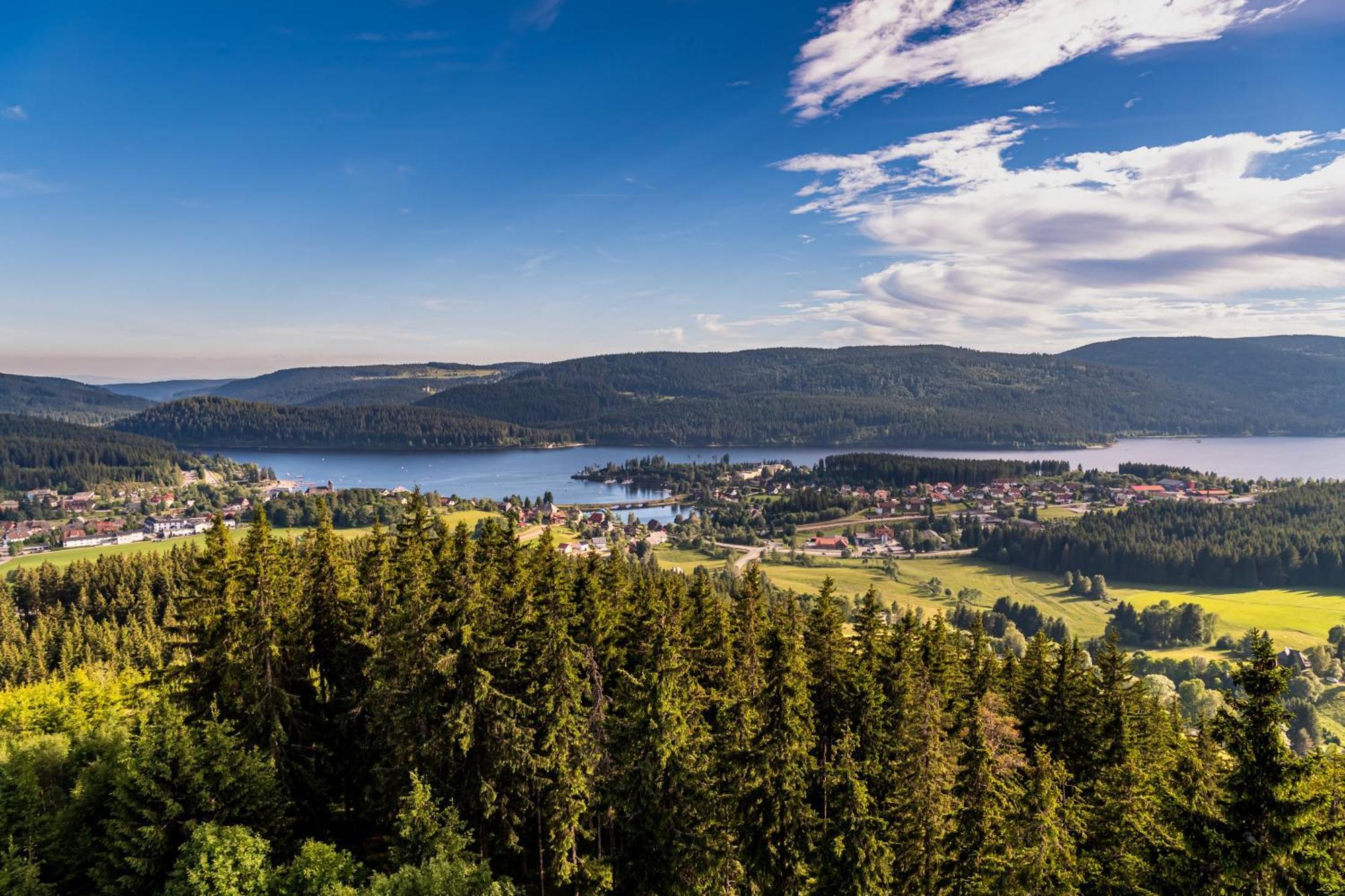 Apartment 13 - Ferienresidenz Roseneck, Mit Schwimmbad In Todtnauberg Bei Feldberg Kültér fotó