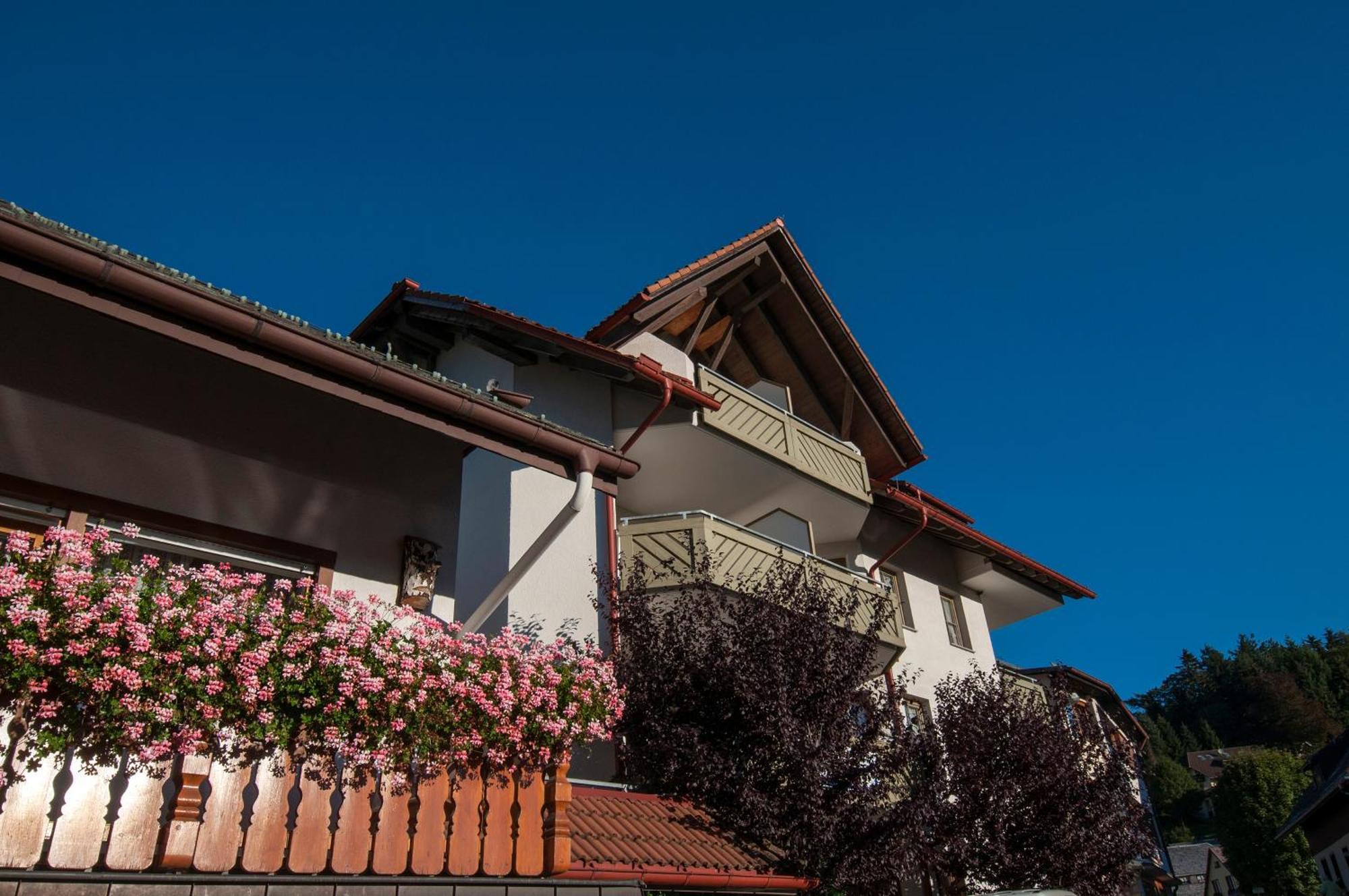 Apartment 13 - Ferienresidenz Roseneck, Mit Schwimmbad In Todtnauberg Bei Feldberg Kültér fotó